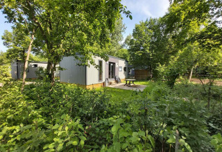 Lodge blandt træerne - Baalse Hei - Turnhout, Antwerpen, Belgien