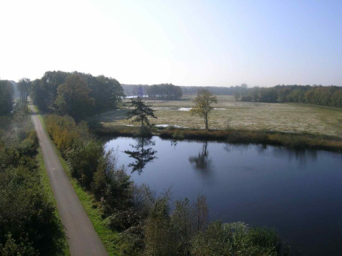 Omgeving natuur - Baalse Hei - Turnhout, Antwerpen, België