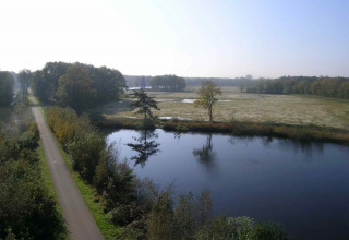 Omgeving natuur - Baalse Hei - Turnhout, Antwerpen, België