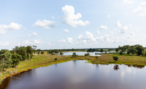 Uitzicht omliggende natuur - Baalse Hei - Turnhout, Antwerpen, België