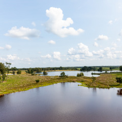 Views surrounding nature - Baalse Hei - Turnhout, Antwerp, Belgium