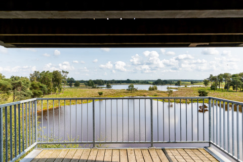 Aussichtspunkt in der Natur - Baalse Hei - Turnhout, Antwerpen, Belgien