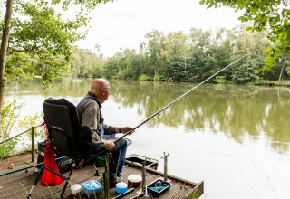 Pesca de cerca - Baalse Hei - Turnhout, Amberes, Bélgica