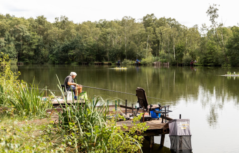 Man zit te vissen aan een rustige vijver bij Baalse Hei vakantiepark in Antwerpen, omgeven door natuur.