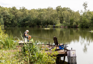 Panoramica del pesce - Baalse Hei - Turnhout, Anversa, Belgio