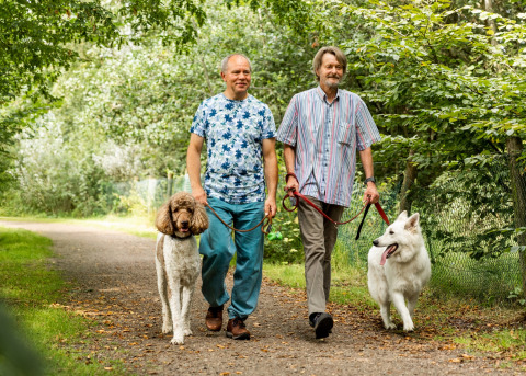 Walking with dogs - Baalse Hei - Turnhout, Antwerp, Belgium