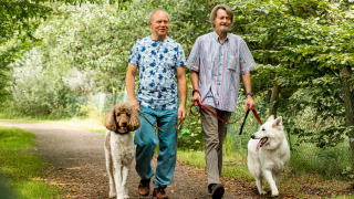 Pasear con perros - Baalse Hei - Turnhout, Amberes, Bélgica