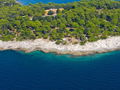 Aerial view of Camping Arena Stoja in Istria, Croatia, with pine forest, rocky coastline, and blue sea.