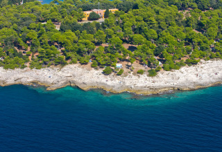 Aerial view of Camping Arena Stoja in Istria, Croatia, with pine forest, rocky coastline, and blue sea.