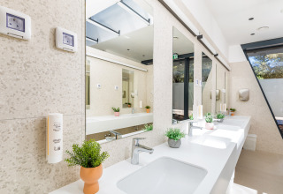 Modernes, sauberes Badezimmer mit Waschbecken, Spiegeln und Pflanzen im Camping Arena Stoja, Istrien, Kroatien.