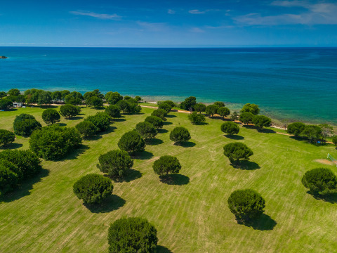Pelouses vertes et arbres au bord de la mer au Camping Park Umag en Istrie, Croatie, vue sur l’Adriatique.