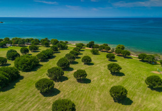 Groene grasvelden en bomen aan zee bij Camping Park Umag in Istrië, Kroatië, met uitzicht op de zee.