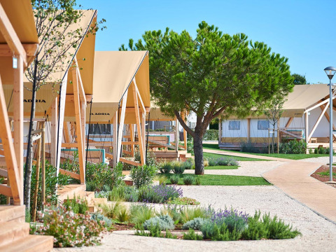 Tende safari moderne e spazi verdi al Camping Park Umag, villaggio vacanze in Istria, Croazia.