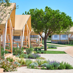 Moderne safaritelte og grønne omgivelser på Camping Park Umag, en feriepark i Istrien, Kroatien.