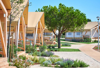 Moderne safaritelte og grønne omgivelser på Camping Park Umag, en feriepark i Istrien, Kroatien.