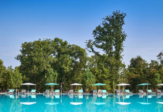 Piscine extérieure avec transats et parasols au Camping Park Umag, entourée d’arbres en Istrie, Croatie.
