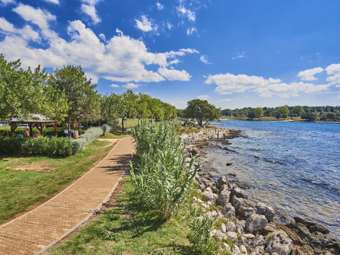 Sentiero lungo il litorale con alberi e cielo blu a Camping Park Umag, villaggio turistico in Istria, Croazia.