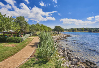 Sentiero lungo il litorale con alberi e cielo blu a Camping Park Umag, villaggio turistico in Istria, Croazia.