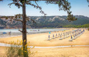 Strand met parasols en ligstoelen bij Lopar, Kroatië, met heuvels en bomen op de achtergrond.