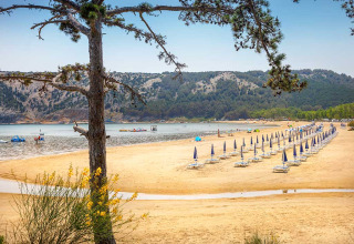 Strand met parasols en ligbedden nabij Lopar, Kroatië, met heuvels en bomen op de achtergrond.