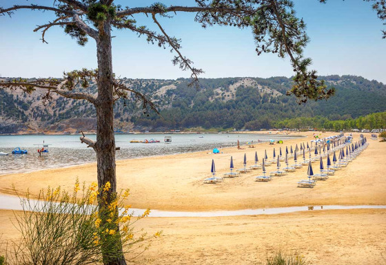 Strand mit Sonnenschirmen und Liegen bei Lopar, Kroatien, mit Bergen und Bäumen im Hintergrund.