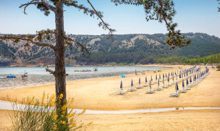 Beach with umbrellas and sunbeds near Lopar, Croatia, with hills and trees in the background.