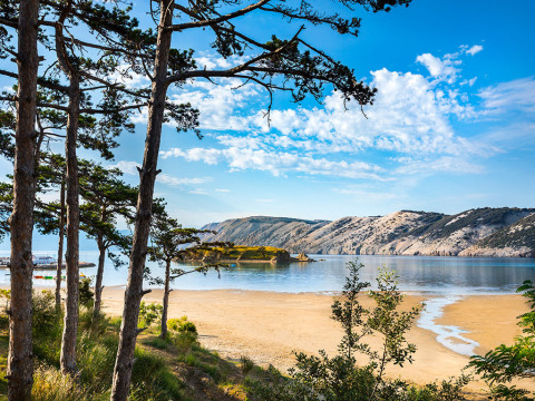 View of Lopar surroundings in Croatia with pine trees, sandy beach, calm sea, and rocky hills under blue sky.