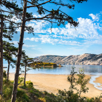 Zicht op de omgeving van Lopar in Kroatië met dennenbomen, zandstrand, kalme zee en heuvels onder blauwe lucht.