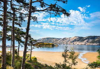 View of Lopar surroundings in Croatia with pine trees, sandy beach, calm sea, and rocky hills under blue sky.
