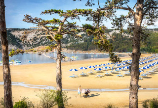 Spiaggia sabbiosa con ombrelloni blu e bianchi e pini al Valamar Camping San Marino, Croazia.