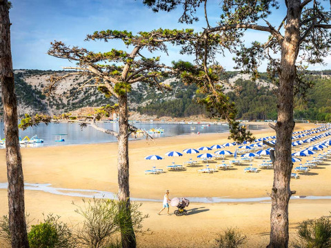 Strand med blå og hvide parasoller, liggestole og træer ved Valamar Camping San Marino, Kroatien.
