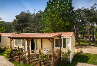 Lodge San Marino Home con porche cubierto, rodeado de árboles y vegetación en un entorno natural.