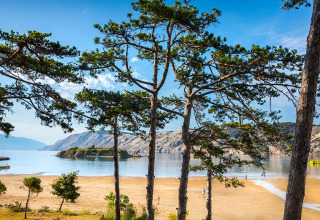 Vista della spiaggia al Valamar Camping San Marino con pini, sabbia e acque tranquille in Croazia.