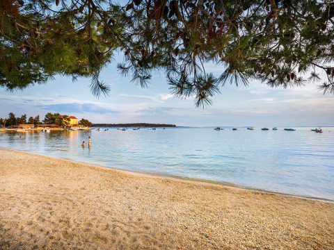 Playa tranquila con mar azul, botes y ramas de pino en Banjol, Primorje-Gorski Kotar, Croacia.