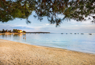 Rustig strand met helder water, boten en dennentakken nabij Banjol, Primorje-Gorski Kotar, Kroatië.