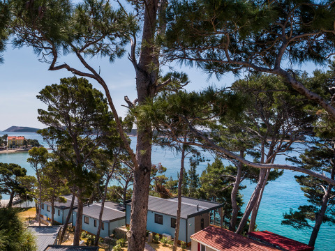 Vue sur des chalets parmi les pins au Valamar Camping Padova, face à une mer turquoise et à la côte croate.