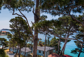 Vue sur des chalets parmi les pins au Valamar Camping Padova, face à une mer turquoise et à la côte croate.