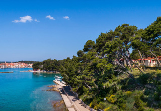 Coastal scene near Banjol, Croatia with clear blue sea, pine trees and charming seaside cottages.