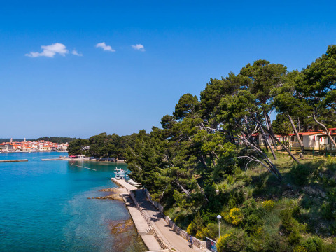 Costa cerca de Banjol, Croacia, con mar azul claro, pinos y acogedoras casas junto al mar.
