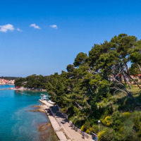 Coastal scene near Banjol, Croatia with clear blue sea, pine trees and charming seaside cottages.