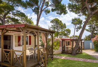 Casas móviles con terrazas cubiertas entre pinos en Valamar Camping Padova, parque vacacional en Croacia.