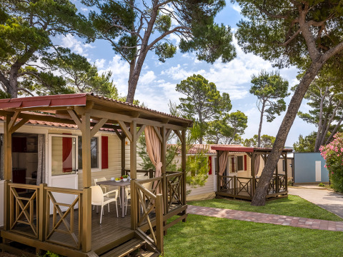 Stacaravans met overdekte veranda’s tussen dennenbomen op Valamar Camping Padova, vakantiepark in Kroatië.