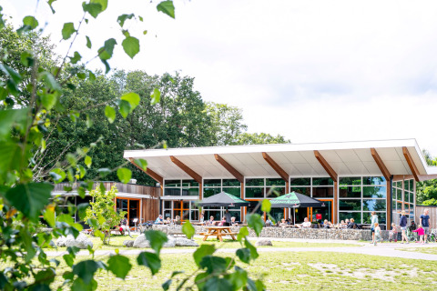 Brasserie de Bosuil - Witterzomer - Assen, Drenthe, Pays-Bas