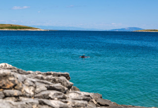 A snorkeler swims in the clear blue water at Camping Arena Stupice, with rocks in the foreground and islands ahead.