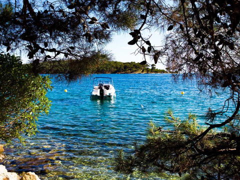 Boat anchored in clear blue water, framed by pine trees at Baia Holiday Poljana in Croatia.