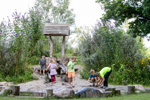 Parcours d'aventure en fosse - Witterzomer - Assen, Drenthe, Pays-Bas