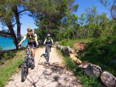 To cyklister på en skovsti ved kysten i solrigt vejr, Aminess Style Camping Atea Resort, Kroatien.