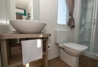 Modernes Chalet-Badezimmer mit Waschbecken, Spiegel, WC und Dusche, Tageslicht und Holzdekor.