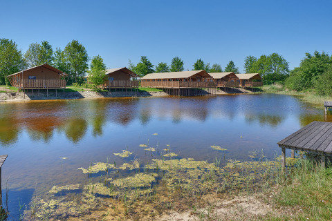 Vakantiehuisjes aan het water in vakantiepark Eigen Wijze, Flevoland, Nederland op een zonnige dag.