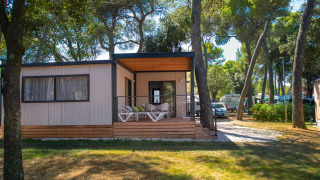 Lodge Deluxe Camping Villa con porche acogedor, rodeada de árboles altos y naturaleza tranquila.